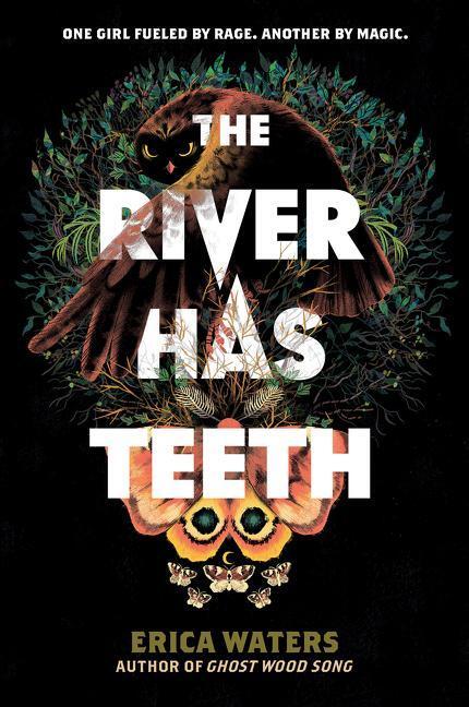 Cover: 9780062894267 | The River Has Teeth | Erica Waters | Taschenbuch | Englisch | 2022