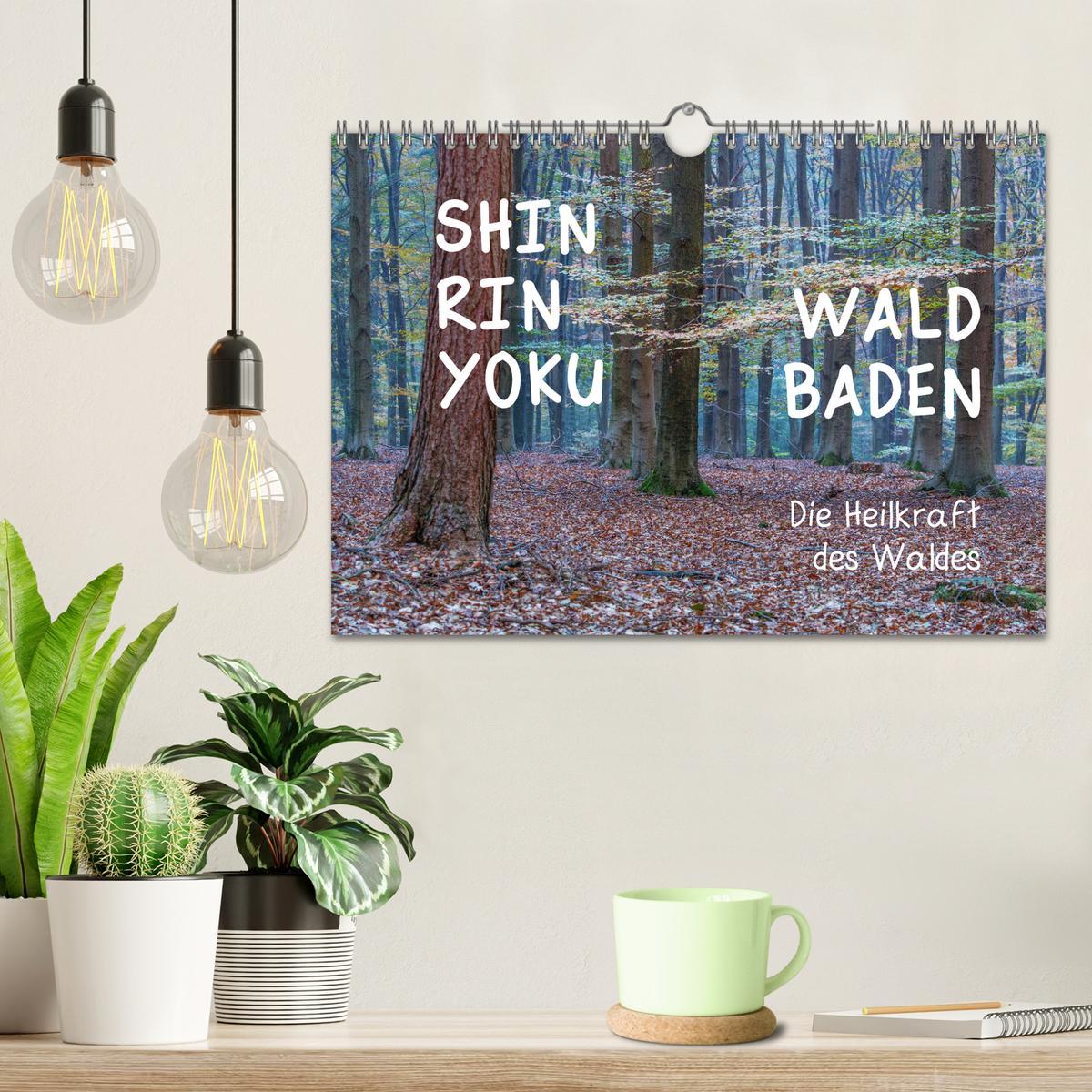 Bild: 9783435302376 | Shinrin yoku - Waldbaden 2025 (Wandkalender 2025 DIN A4 quer),...