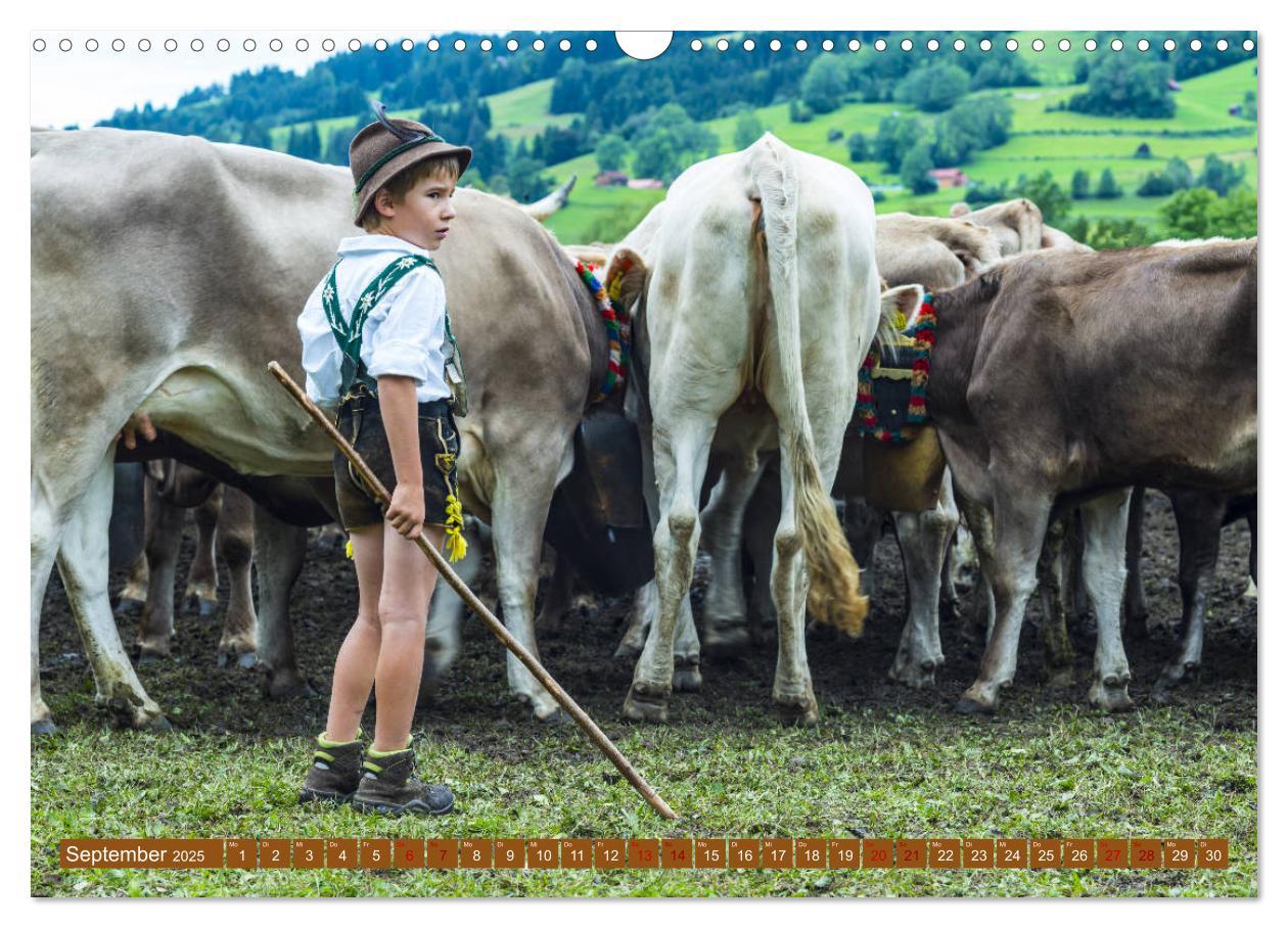 Bild: 9783435347469 | Allgäuer Schönheiten Allgäu - Land der Kühe (Wandkalender 2025 DIN...