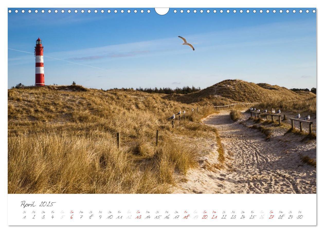 Bild: 9783435601318 | Amrum - Eine farbenfrohe Insellandschaft (Wandkalender 2025 DIN A3...