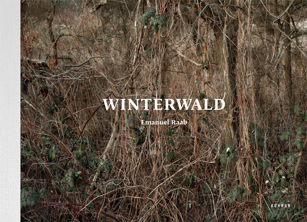 Cover: 9783868282412 | Emanuel Raab: Winterwald | Christiane Stahl | Buch | 80 S. | Deutsch