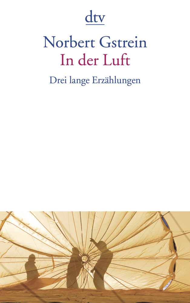 Cover: 9783423139564 | In der Luft | Drei lange Erzählungen | Norbert Gstrein | Taschenbuch