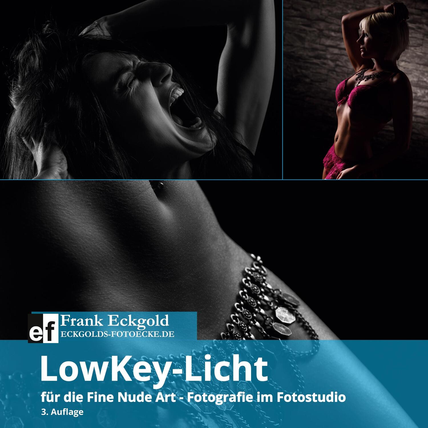 Cover: 9783753490373 | LowKey-Licht | für die Fine Nude Art-Fotografie im Fotostudio | Buch