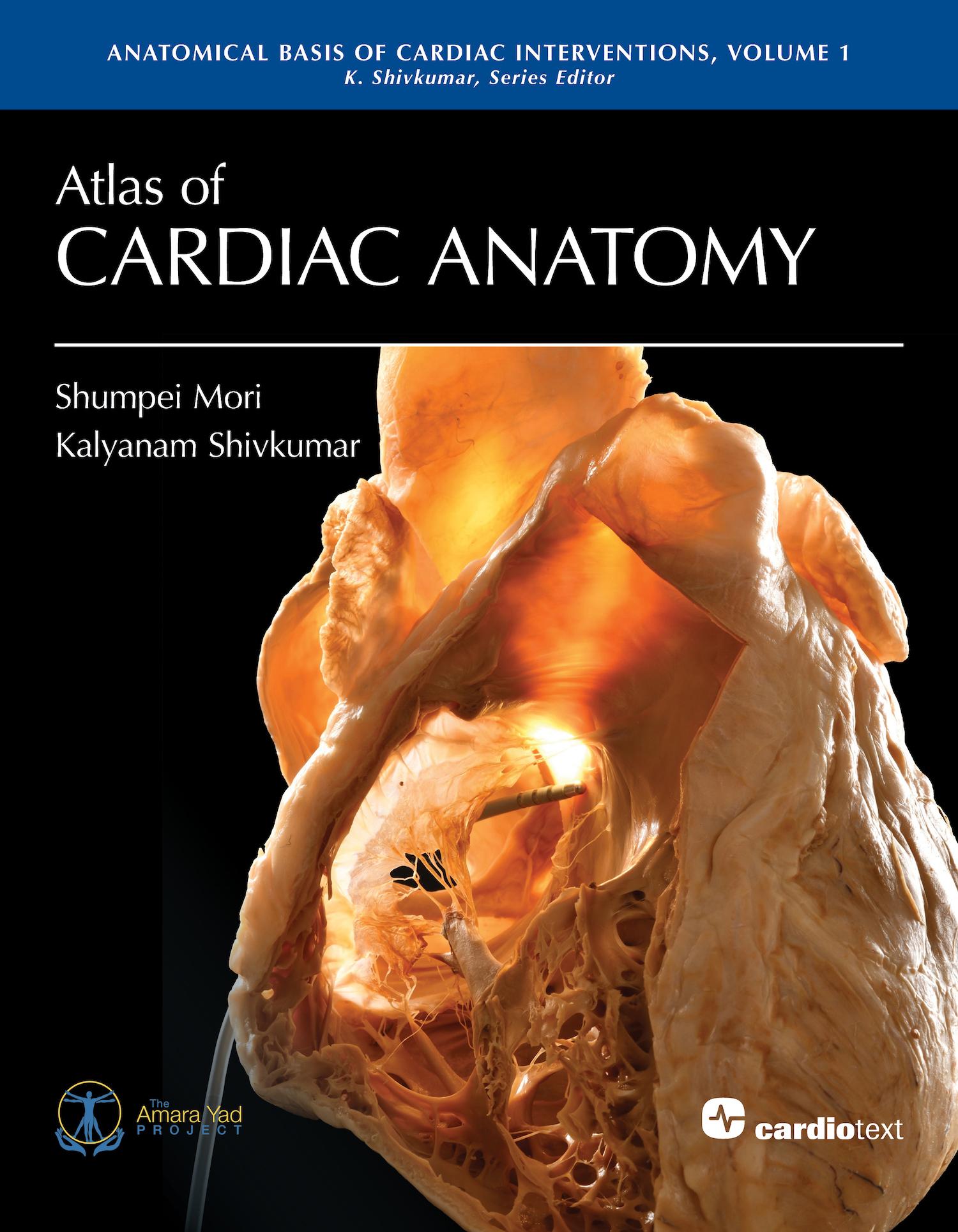 Cover: 9781942909576 | Atlas of Cardiac Anatomy | Mori Shumpei (u. a.) | Buch | Englisch