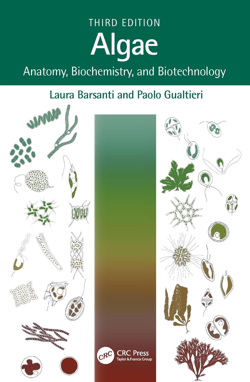 Cover: 9781032035123 | Algae | Anatomy, Biochemistry, and Biotechnology | Barsanti (u. a.)