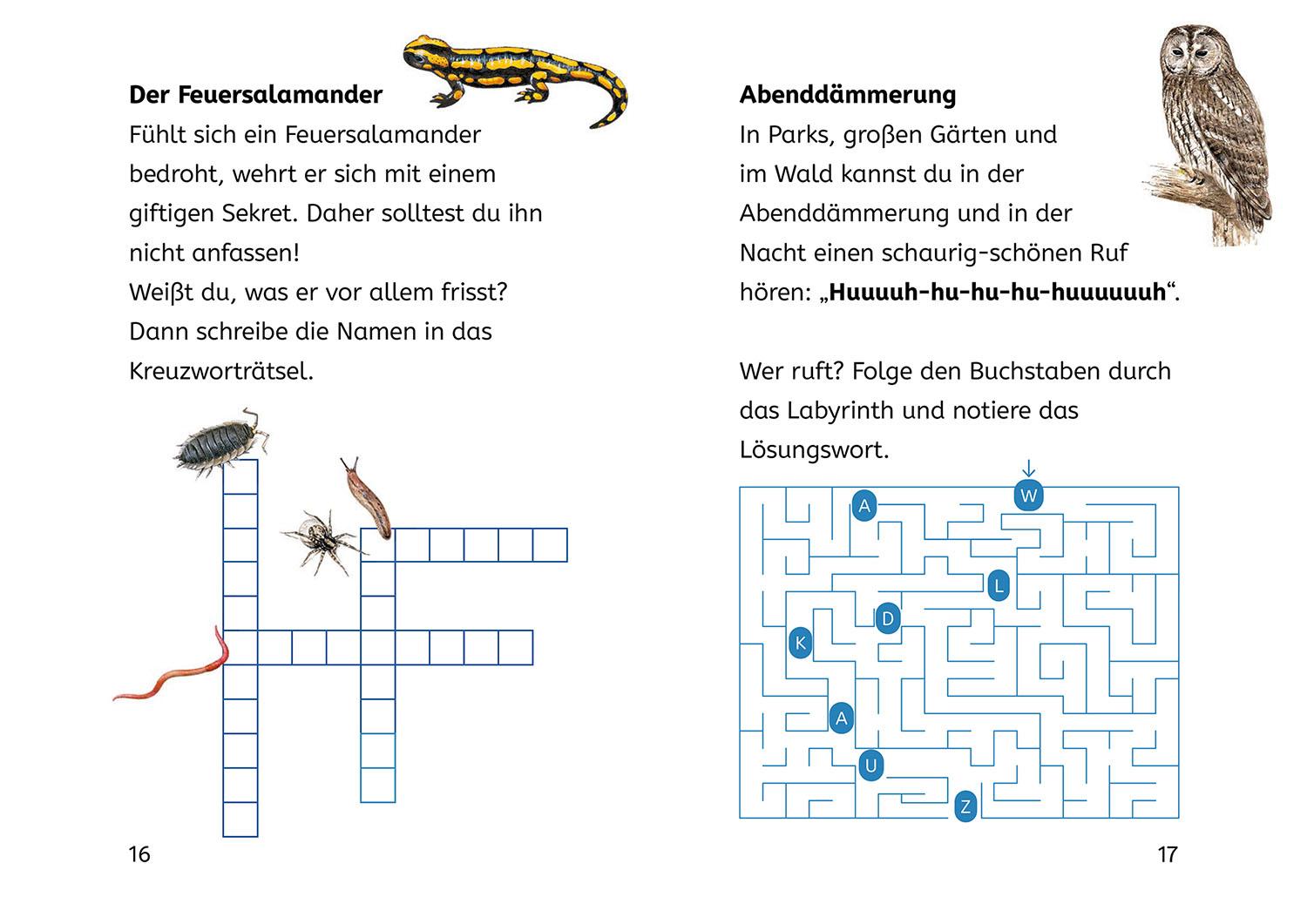 Bild: 9783440181690 | Lesen lernen mit Naturrätseln, Bücherhelden 2. Klasse, Tiere und...