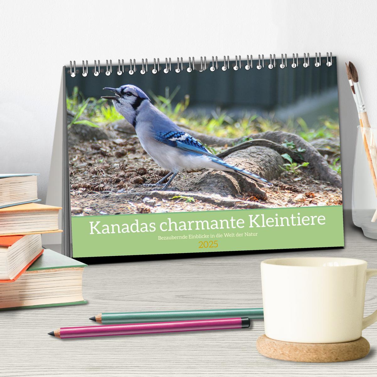 Bild: 9783457206218 | Kanadas charmante Kleintiere - Bezaubernde Einblicke in die Natur...