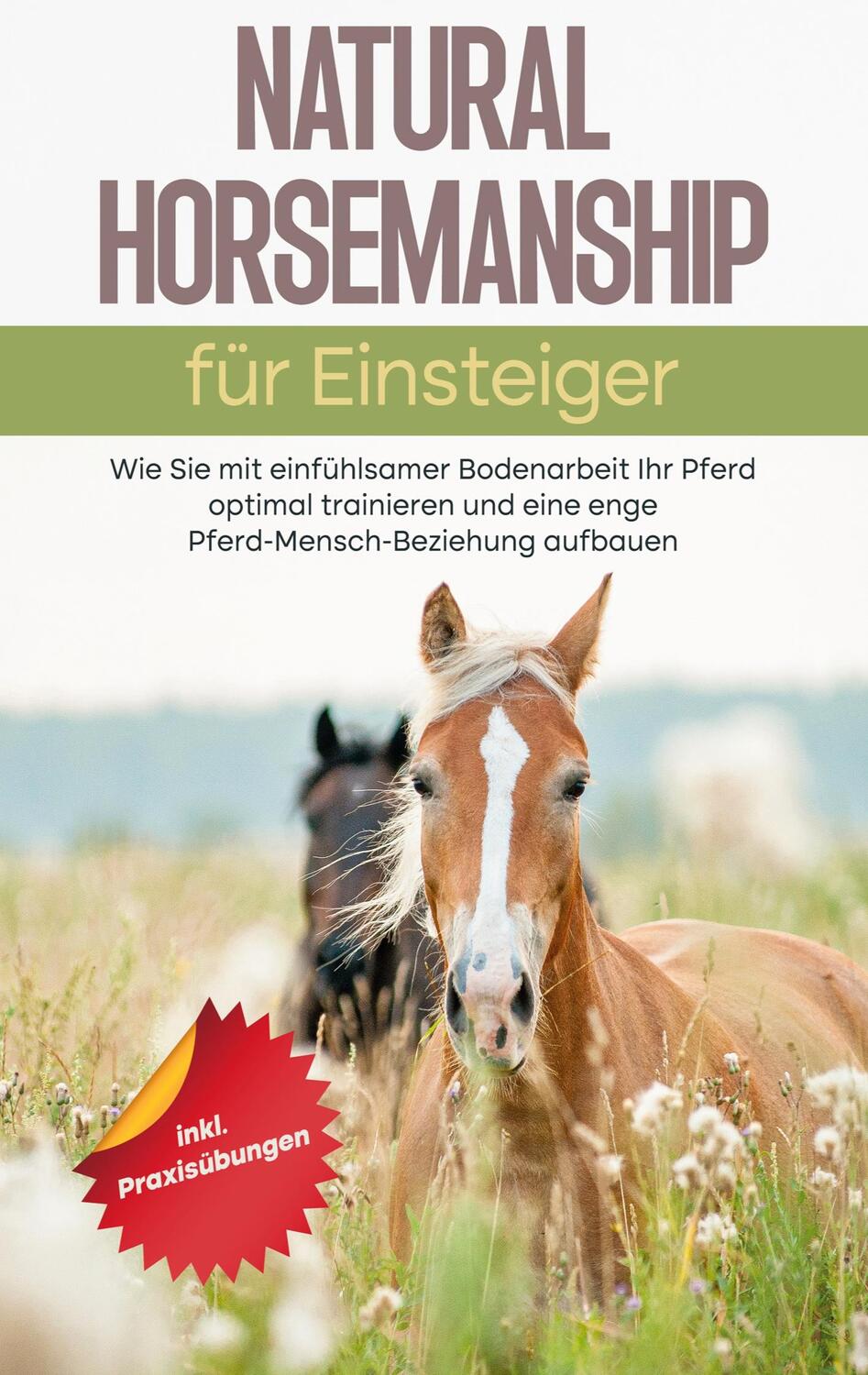Cover: 9783756828937 | Natural Horsemanship für Einsteiger | Moritz Perlau | Taschenbuch