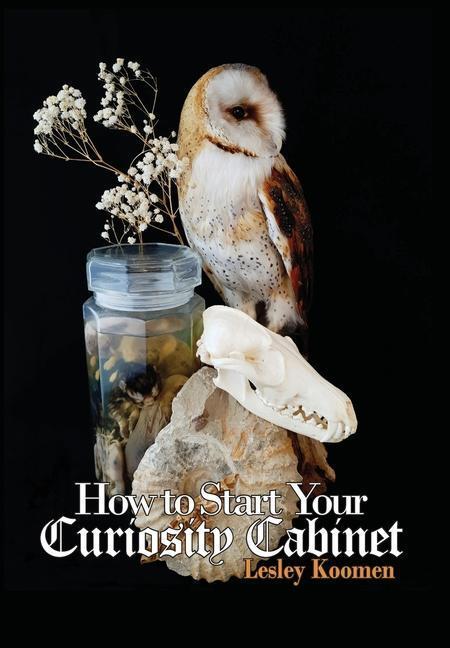 Cover: 9789464356281 | How to Start Your Curiosity Cabinet | Lesley Koomen | Buch | Englisch