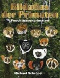 Cover: 9783848205813 | Bildatlas der Primaten | Feuchtnasenprimaten | Michael Schröpel | Buch