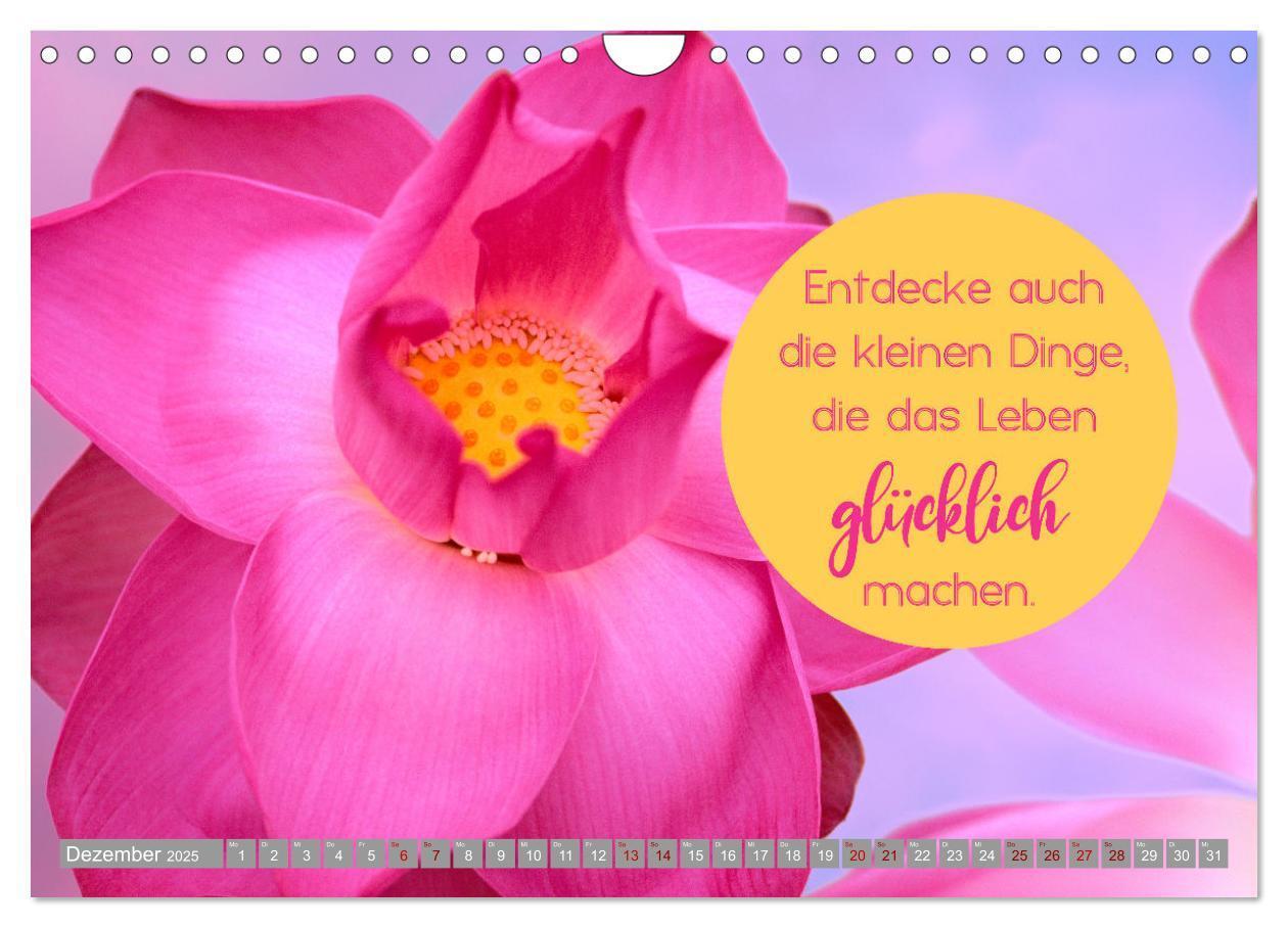 Bild: 9783435067152 | ACHTSAMKEIT - Wege des Glücks (Wandkalender 2025 DIN A4 quer),...