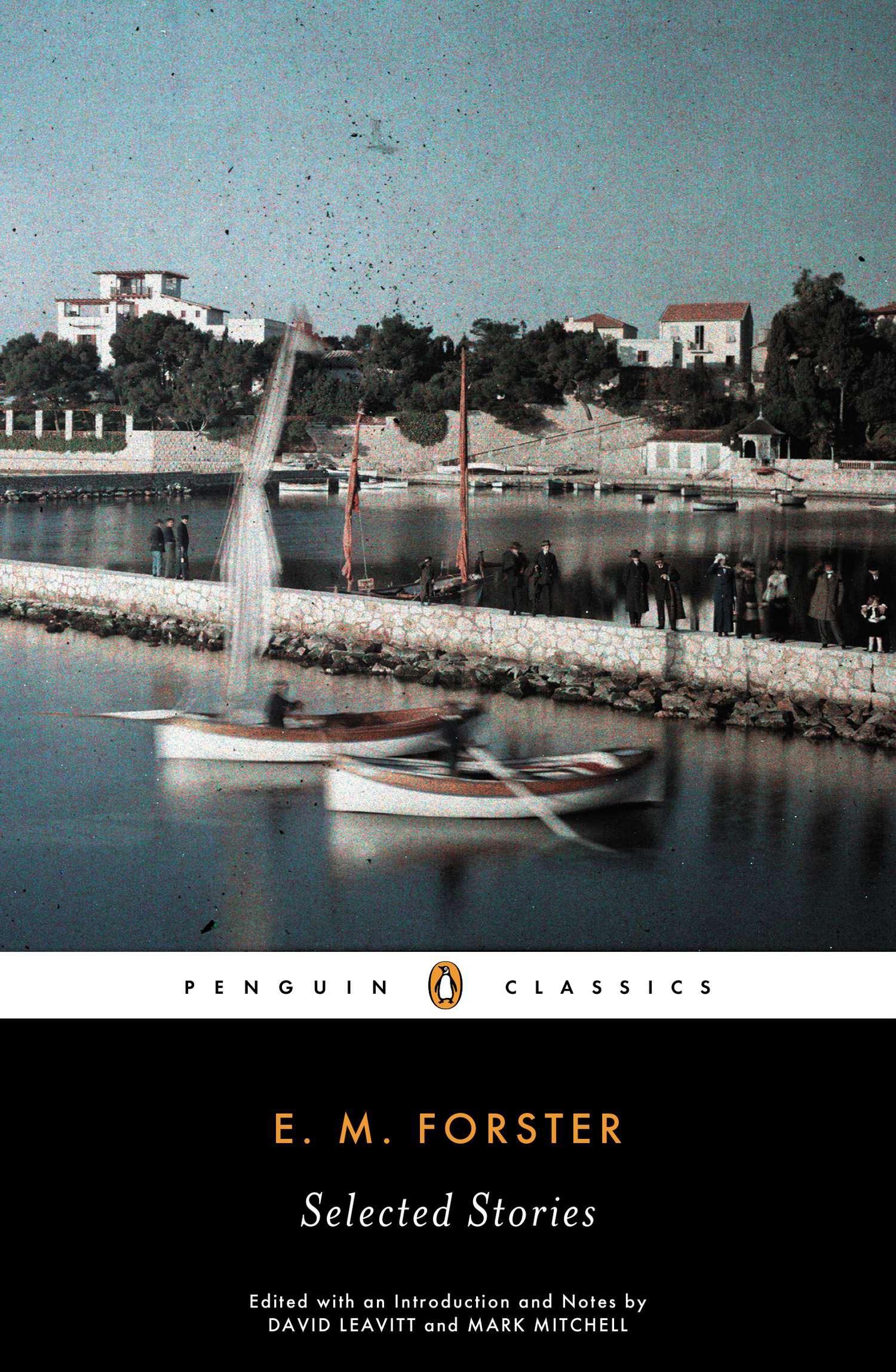 Cover: 9780141186191 | Selected Stories | E M Forster | Taschenbuch | Kartoniert / Broschiert