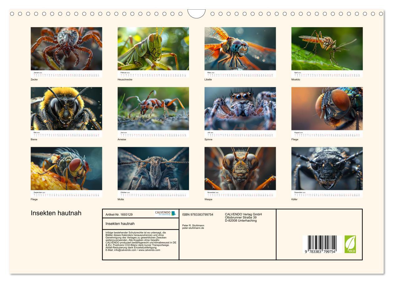 Bild: 9783383799754 | Insekten hautnah (Wandkalender 2025 DIN A3 quer), CALVENDO...