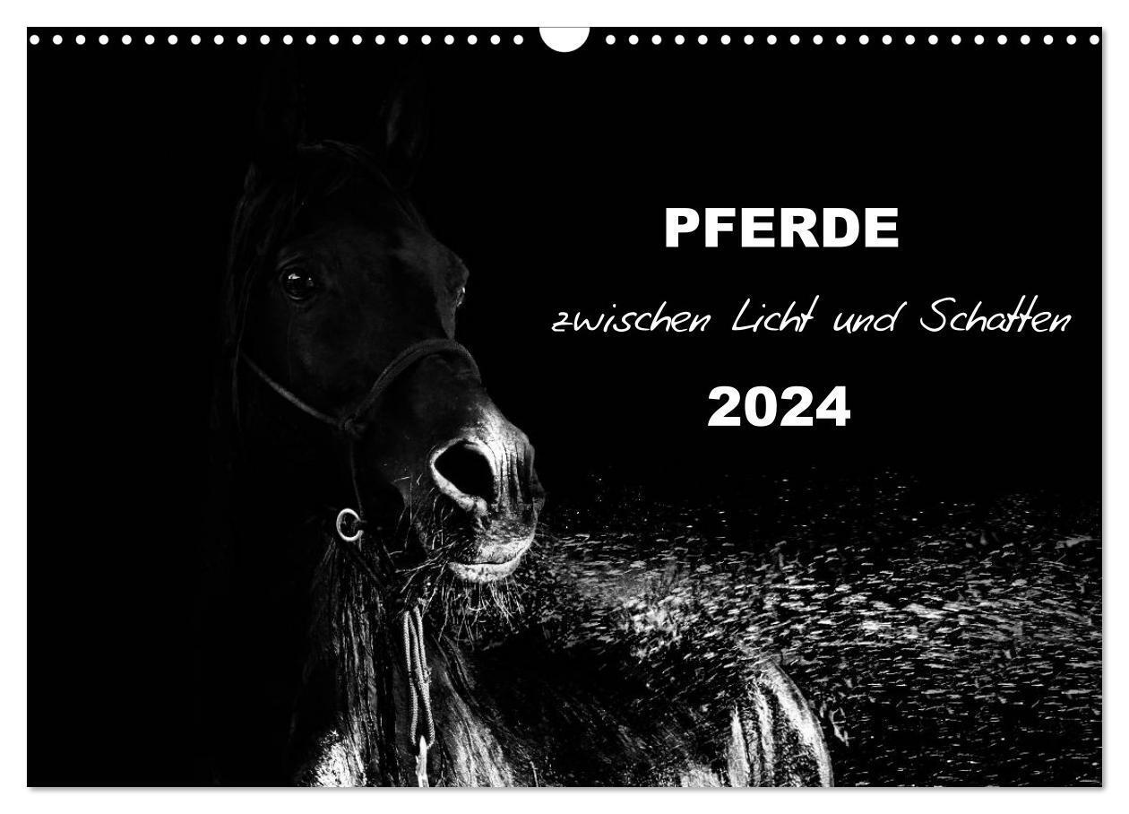 Cover: 9783383417115 | Pferde zwischen Licht und Schatten (Wandkalender 2024 DIN A3 quer),...