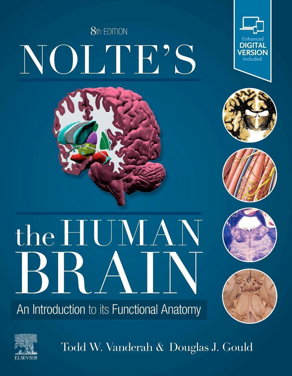 Cover: 9780323653985 | Nolte's The Human Brain | An Introduction to its Functional Anatomy
