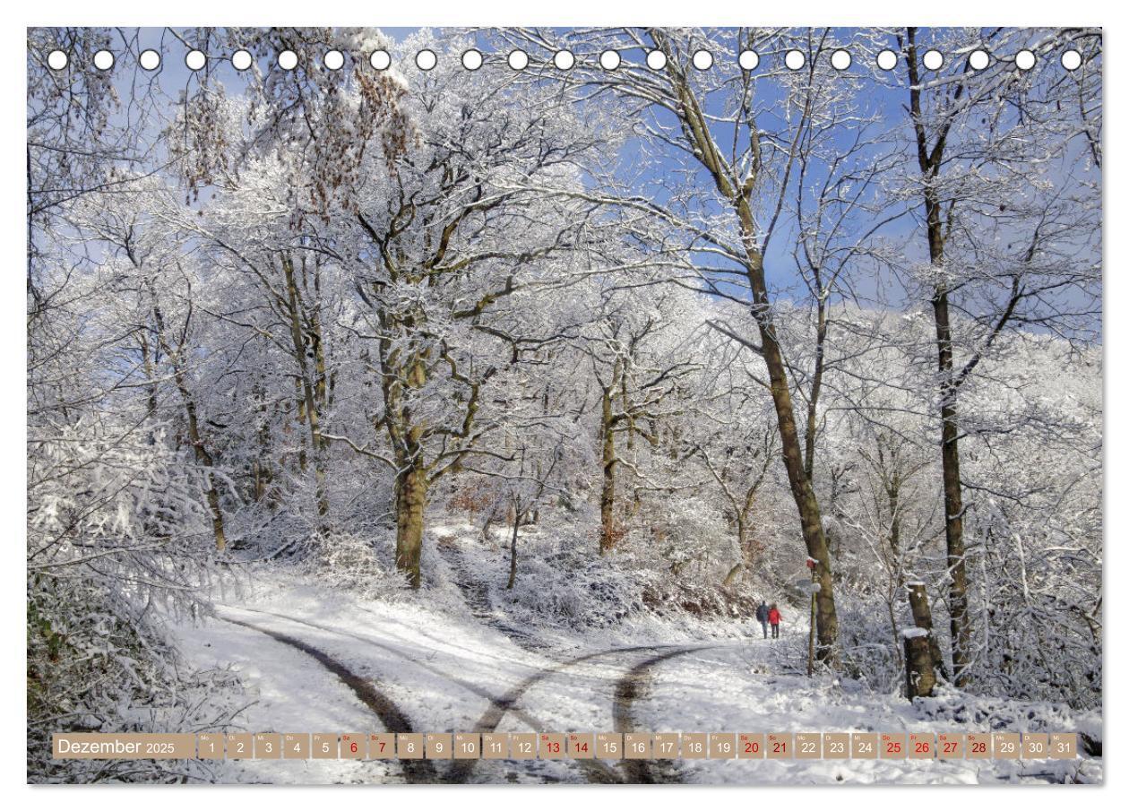 Bild: 9783383773266 | Der Wald - Ort der Ruhe und Besinnung (Tischkalender 2025 DIN A5...