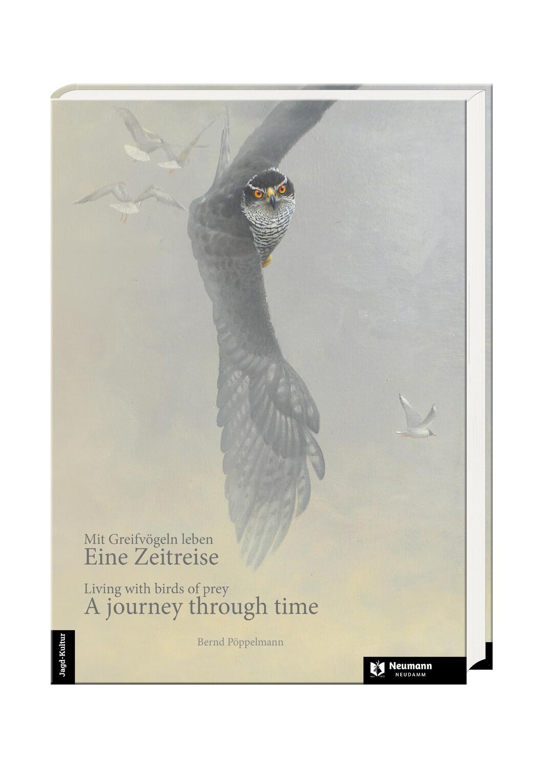 Cover: 9783788820107 | Eine Zeitreise | A journey through time | Bernd Pöppelmann | Buch