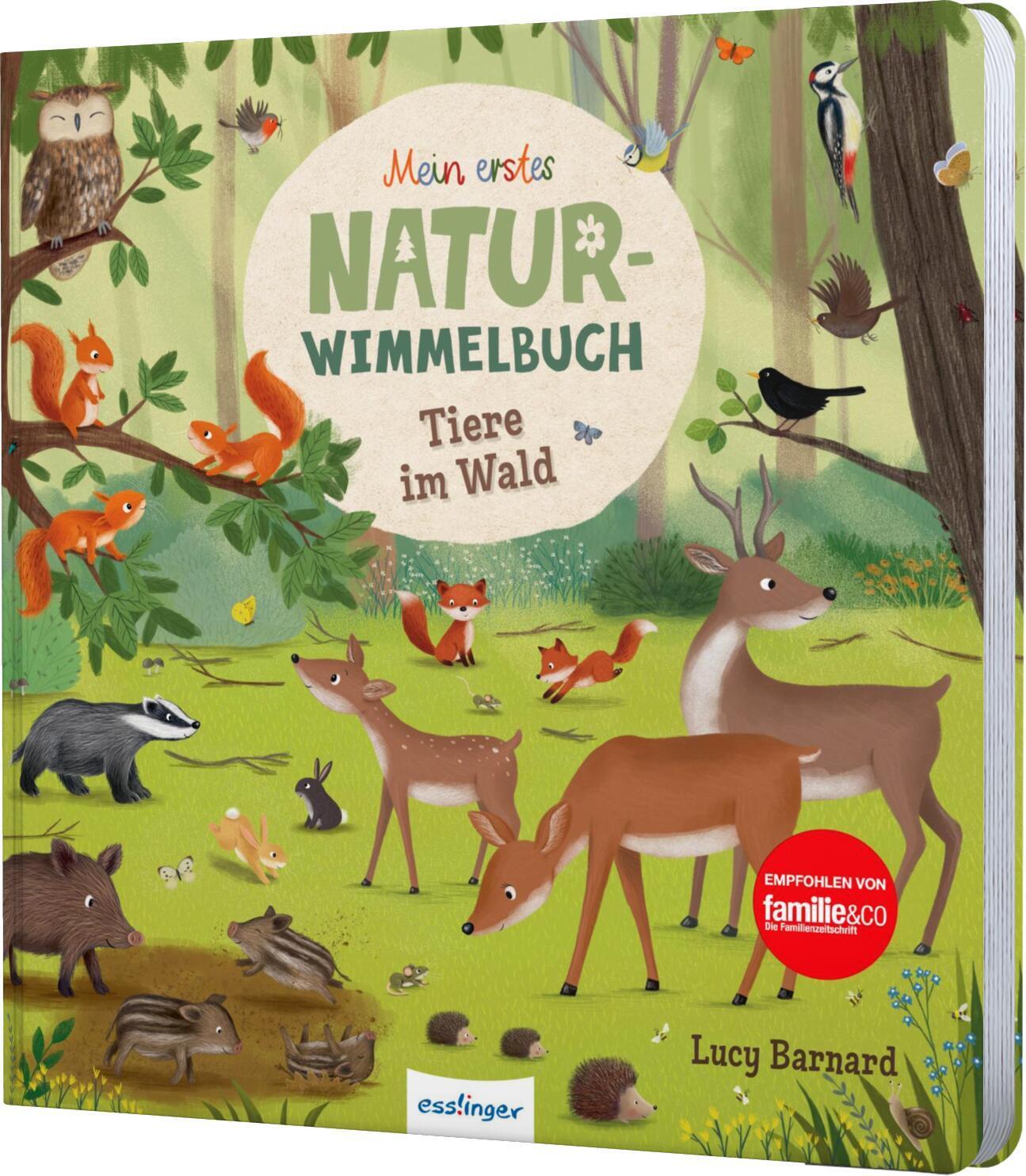 Cover: 9783480237326 | Mein erstes Natur-Wimmelbuch: Tiere im Wald | Sibylle Schumann | Buch