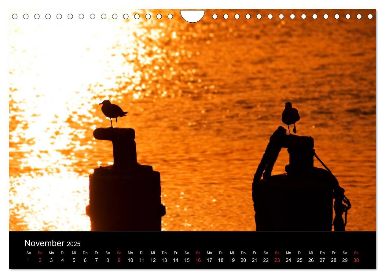 Bild: 9783435768530 | Dänemarks Nordseeküste (Wandkalender 2025 DIN A4 quer), CALVENDO...