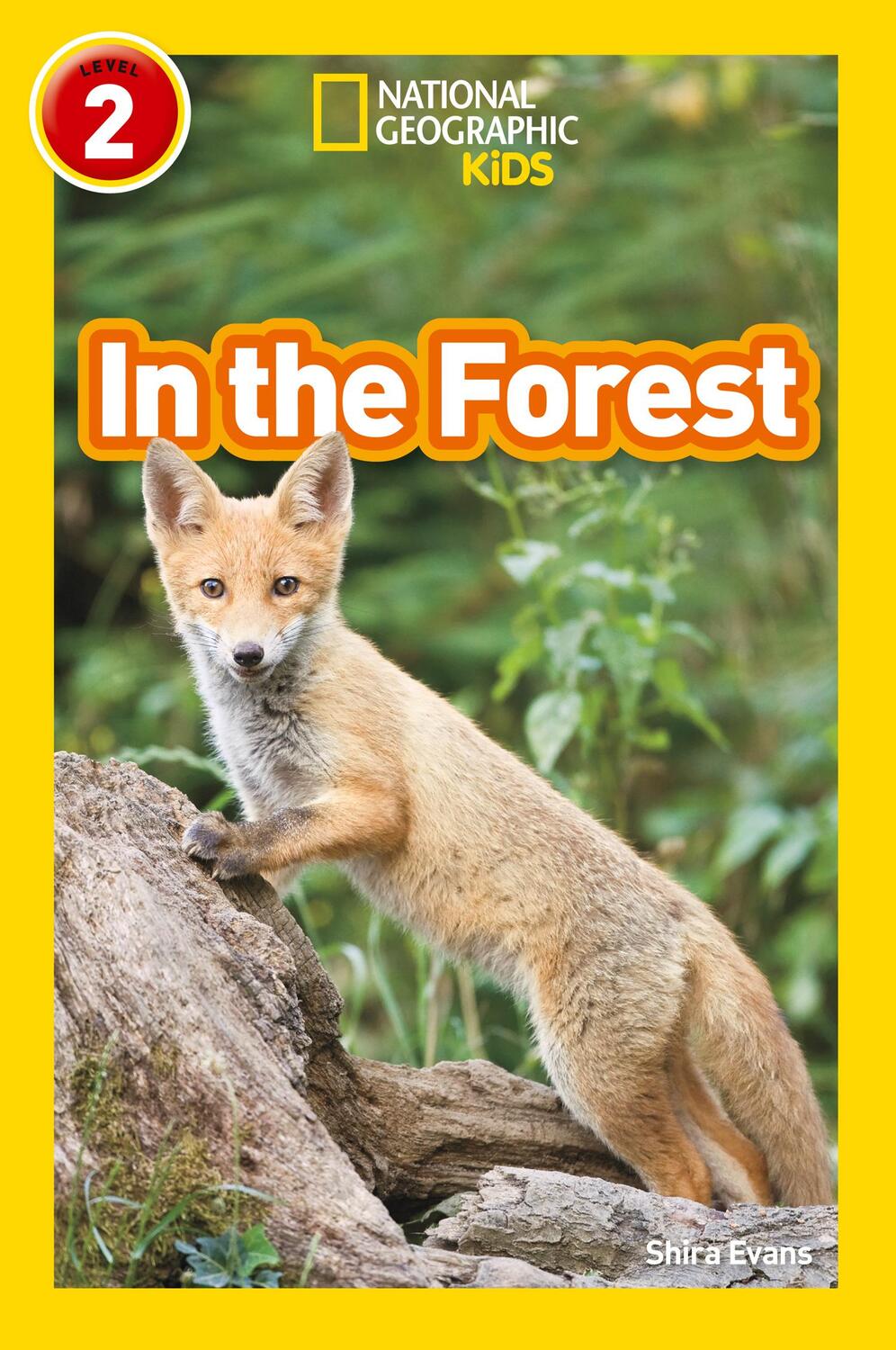 Cover: 9780008317201 | In the Forest | Level 2 | Shira Evans (u. a.) | Taschenbuch | Englisch