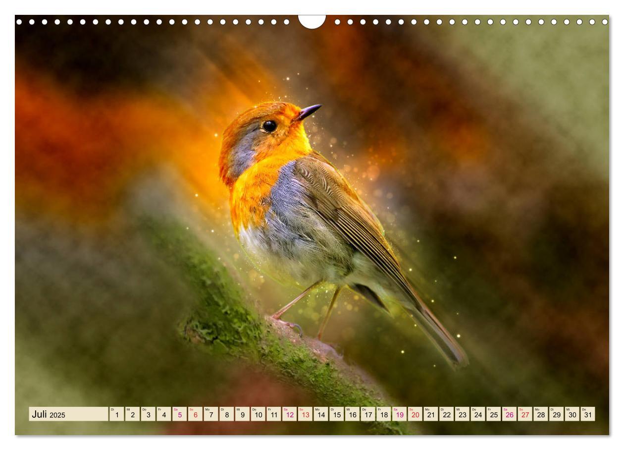 Bild: 9783435333646 | Bei uns im Garten - Rotkehlchen (Wandkalender 2025 DIN A3 quer),...