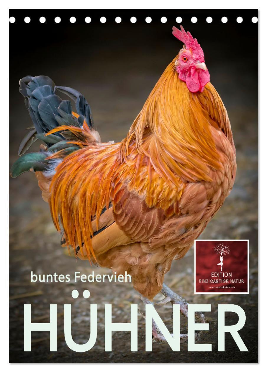 Cover: 9783675629738 | Hühner - buntes Federvieh (Tischkalender 2024 DIN A5 hoch),...