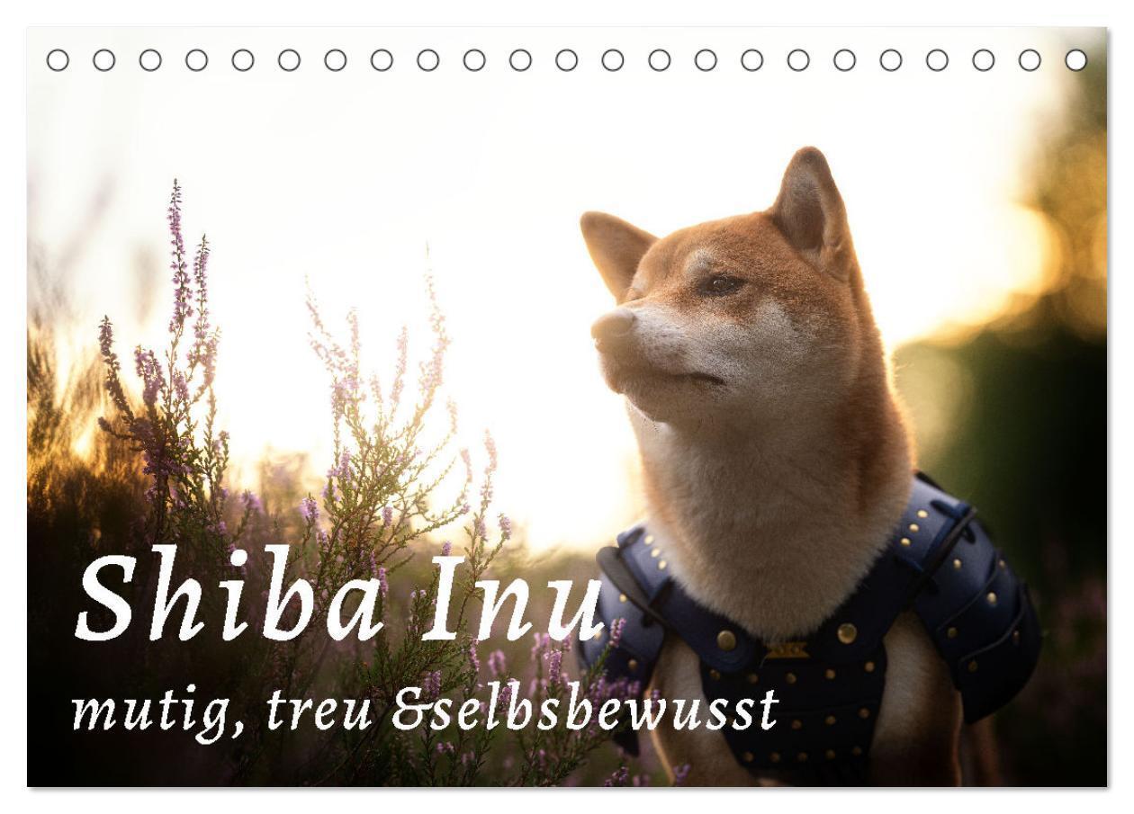 Cover: 9783675548367 | Shiba Inu - mutig, treu, selbstbewusst (Tischkalender 2024 DIN A5...