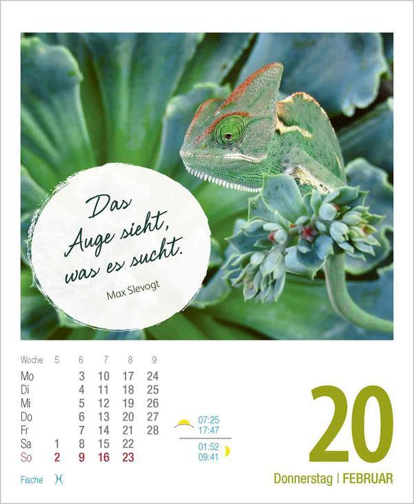 Bild: 9783731880578 | Genieße jeden Augenblick 2025 | Verlag Korsch | Kalender | 328 S.