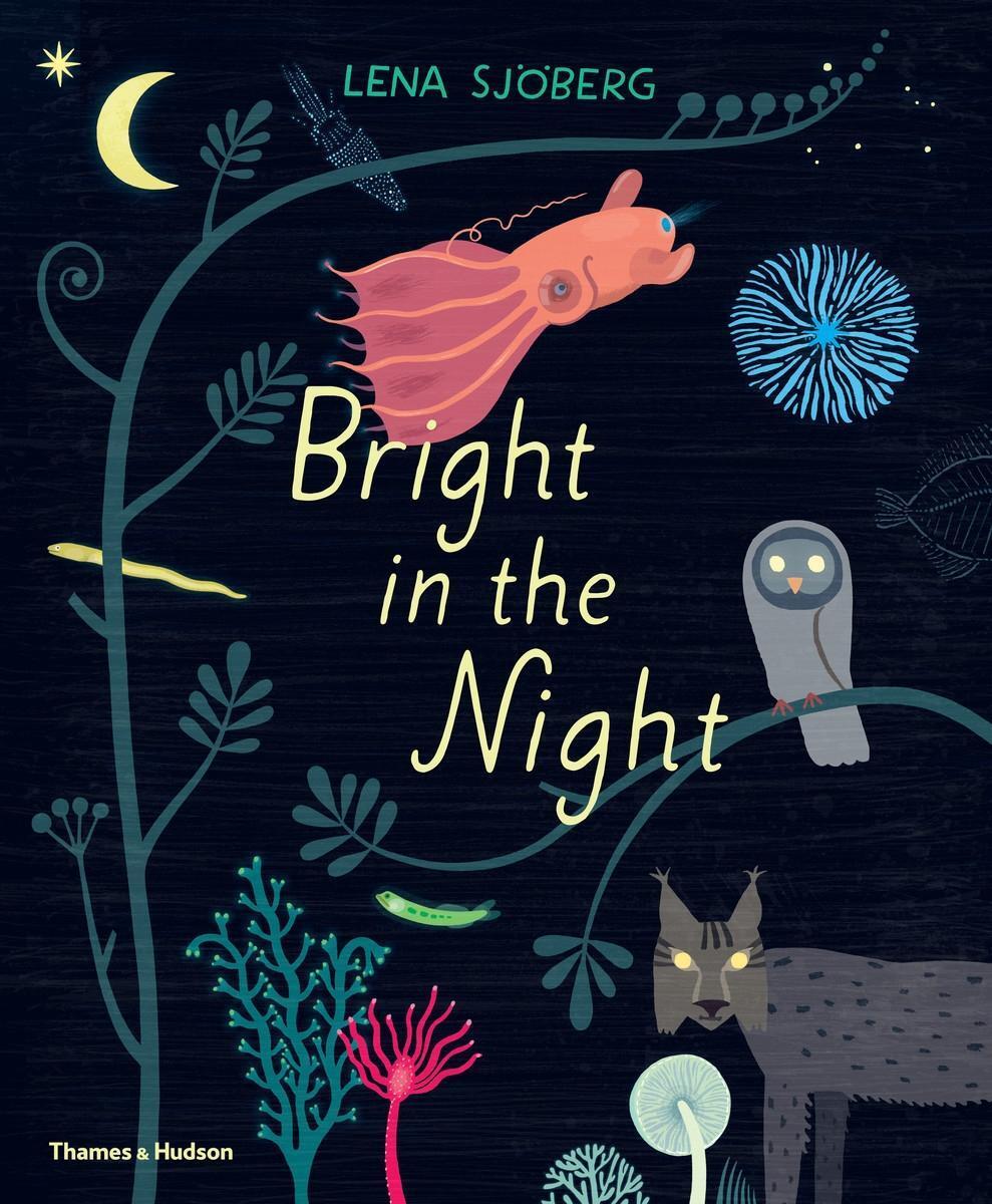 Cover: 9780500652190 | Bright in the Night | Lena Sjoeberg | Buch | Englisch | 2019