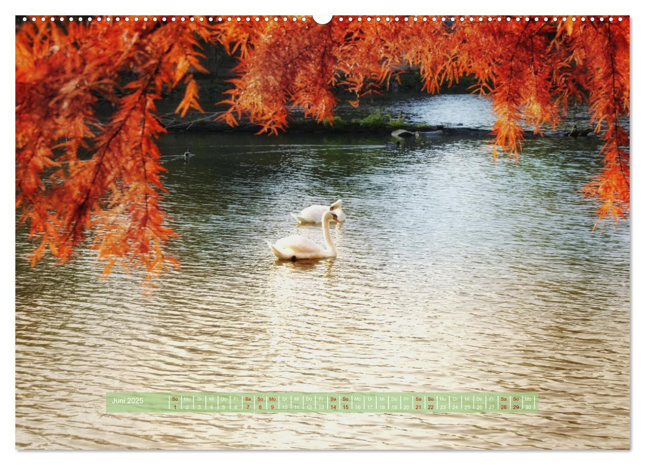 Bild: 9783383893599 | Zauber des Lichts (Wandkalender 2025 DIN A2 quer), CALVENDO...