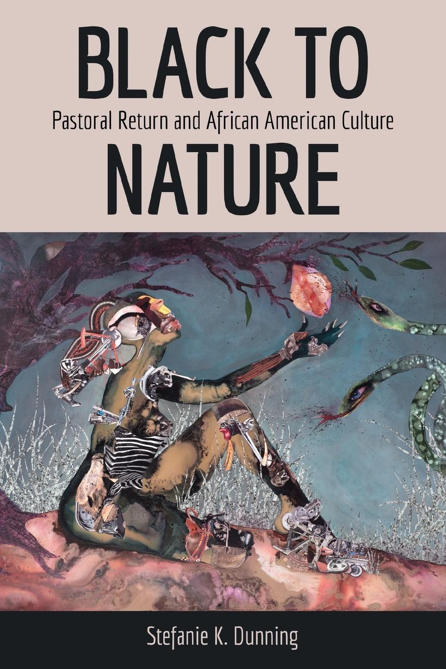 Cover: 9781496832931 | Black to Nature | Pastoral Return and African American Culture | Buch