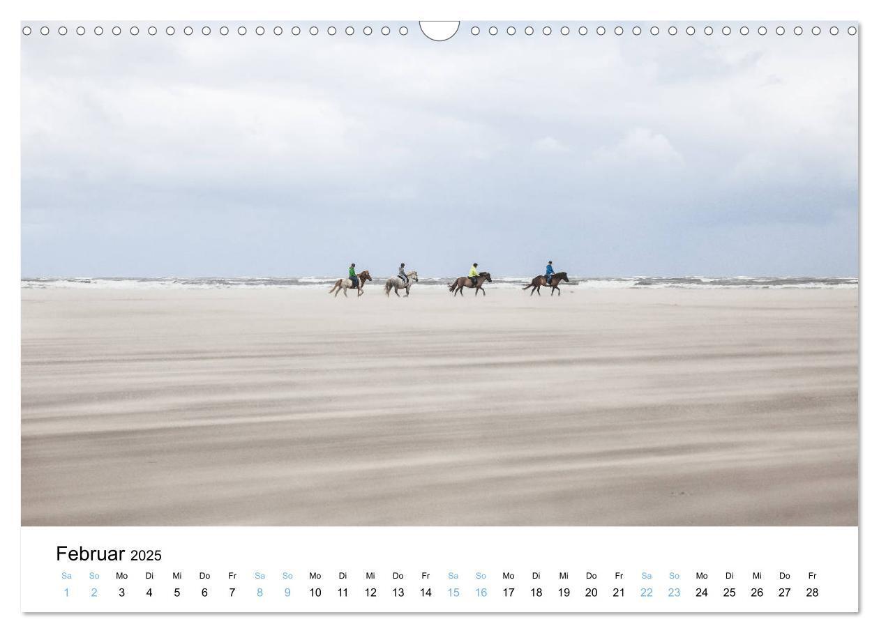 Bild: 9783435378883 | Lieblingsinsel Spiekeroog (Wandkalender 2025 DIN A3 quer), CALVENDO...