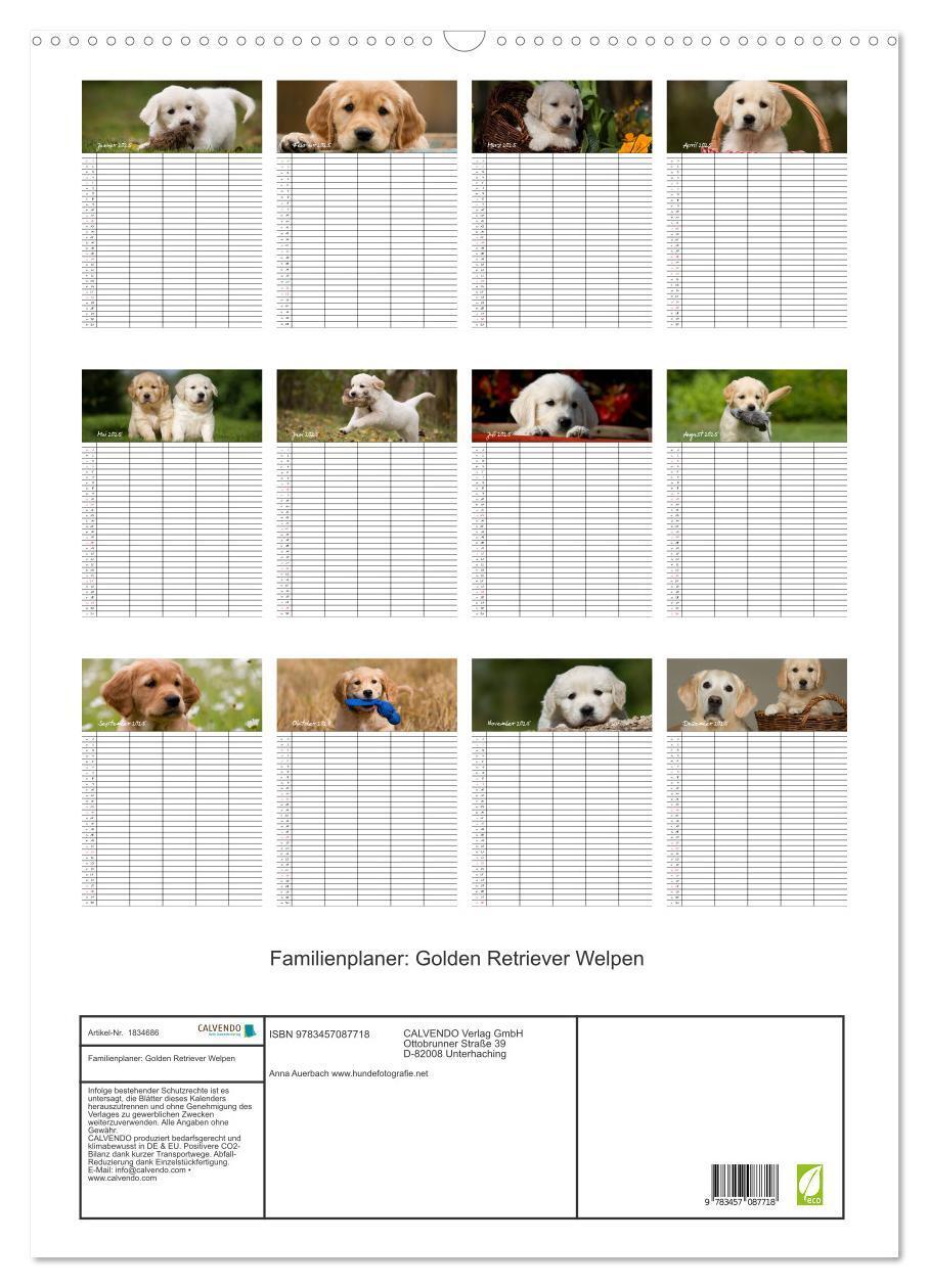 Bild: 9783457087718 | Familienplaner: Golden Retriever Welpen (Wandkalender 2025 DIN A2...