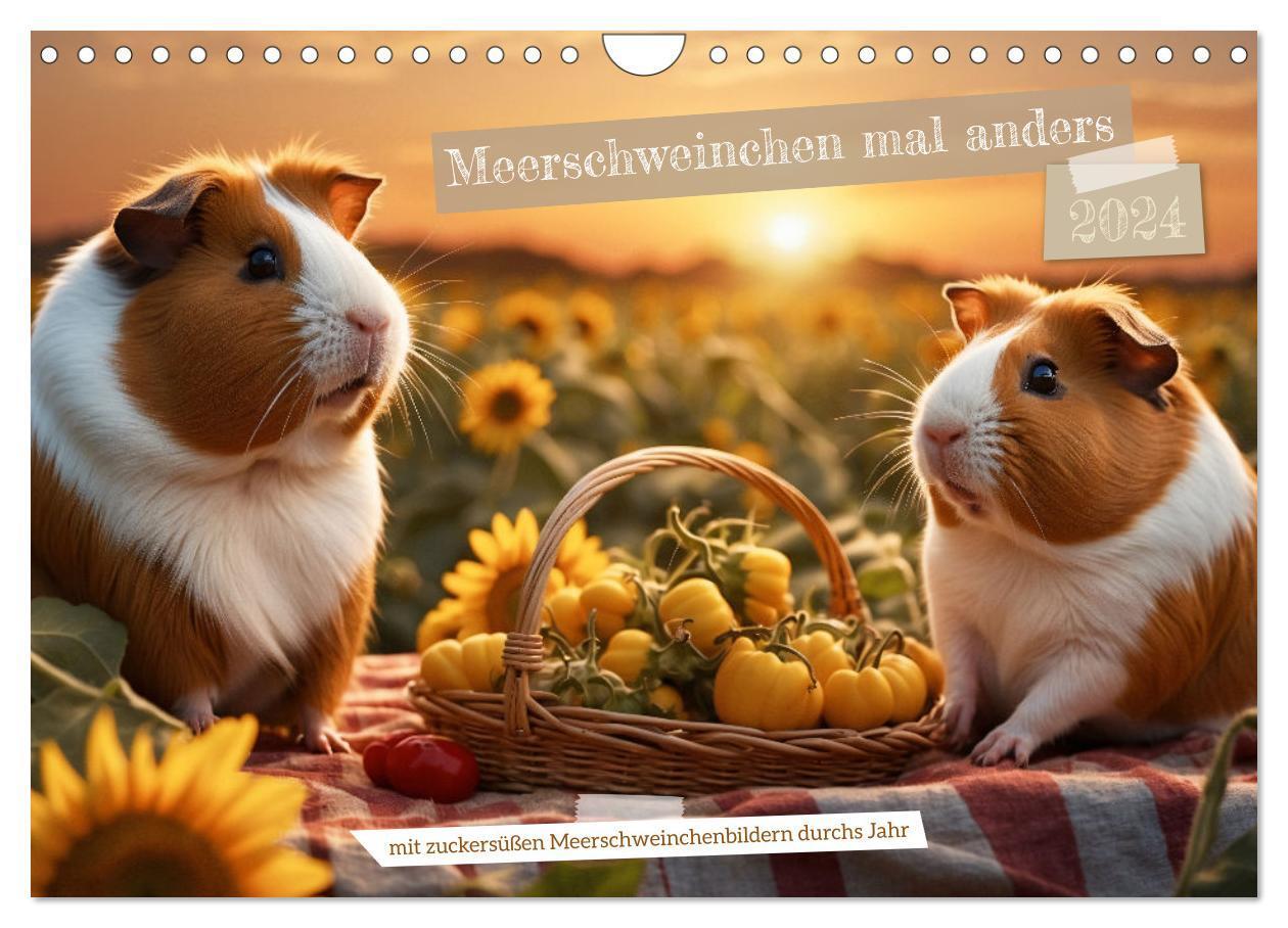 Cover: 9783383748257 | Meerschweinchen mal anders! (Wandkalender 2024 DIN A4 quer),...