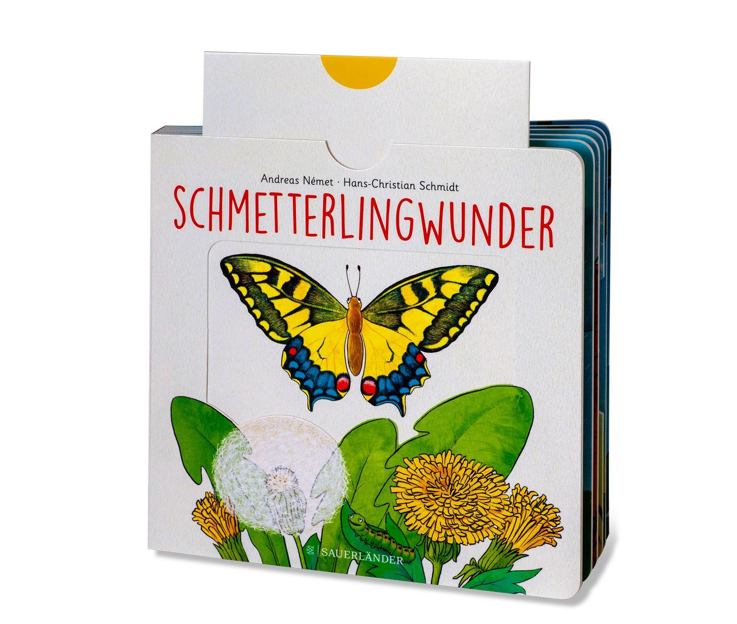 Bild: 9783737356954 | Schmetterlingwunder | Hans-Christian Schmidt | Buch | 12 S. | Deutsch