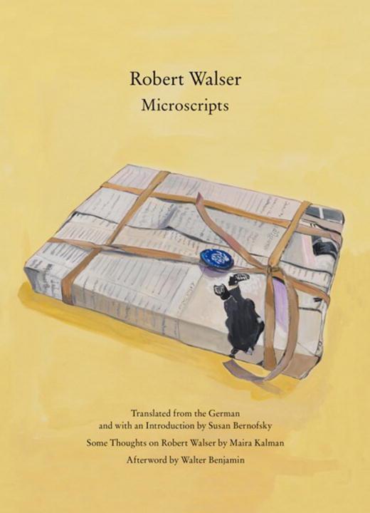 Cover: 9780811220330 | Microscripts | Robert Walser | Taschenbuch | Englisch | 2012