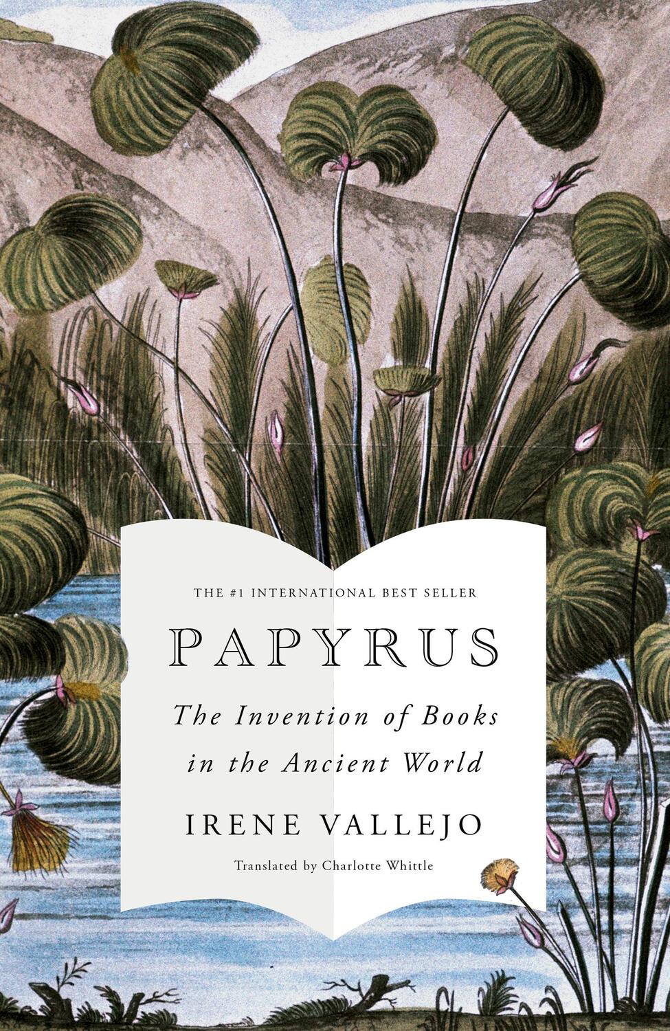 Cover: 9781529343960 | Papyrus | THE MILLION-COPY GLOBAL BESTSELLER | Irene Vallejo | Buch