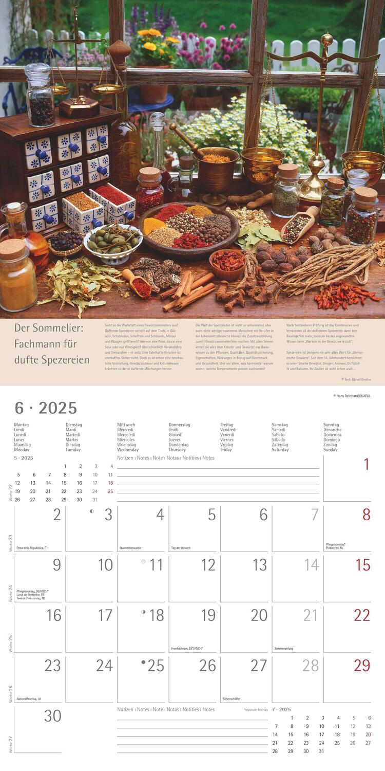 Bild: 4251732340841 | Alpha Edition - Kräuter &amp; Gewürze 2025 - Broschürenkalender 30x30...