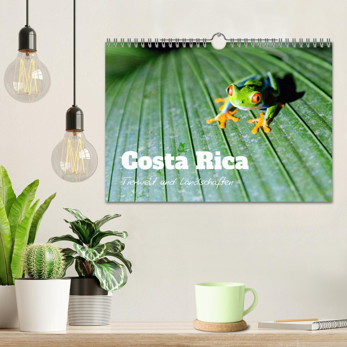 Bild: 9783383949708 | Costa Rica - Tierwelt und Landschaften (Wandkalender 2025 DIN A4...