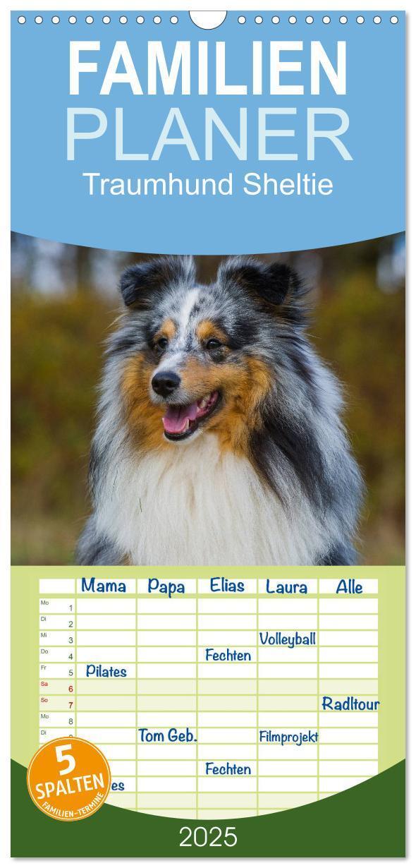 Cover: 9783457125243 | Familienplaner 2025 - Traumhund Sheltie mit 5 Spalten...