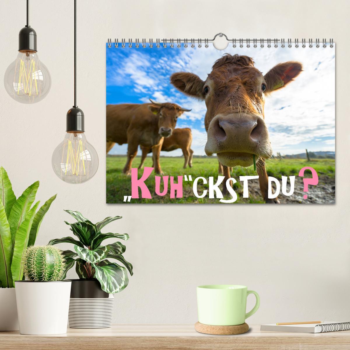 Bild: 9783435391912 | Kuhckst du? (Wandkalender 2025 DIN A4 quer), CALVENDO Monatskalender