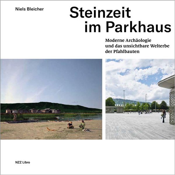 Cover: 9783038103776 | Steinzeit im Parkhaus | Niels Bleicher | Taschenbuch | 186 S. | 2018