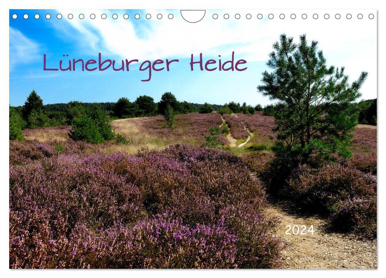 Cover: 9783675573062 | Lüneburger Heide (Wandkalender 2024 DIN A4 quer), CALVENDO...