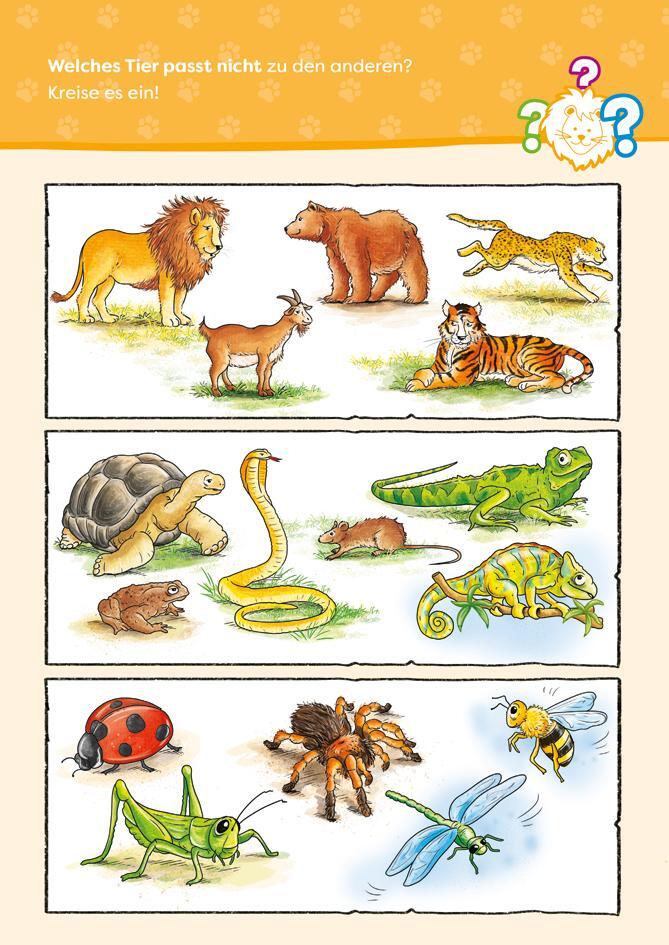 Bild: 9783788645663 | Tierischer Rätselspaß. Zoo | Rätseln für Kinder ab 7 Jahren | Buch