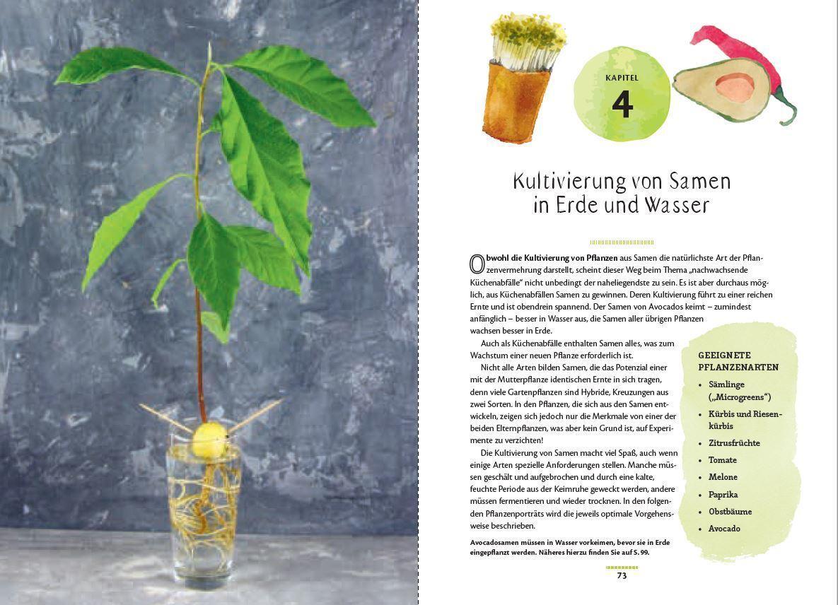 Bild: 9783809441632 | Regrow: Neue Ernte aus Gemüseresten - Von Avocado bis Zwiebel. Die...