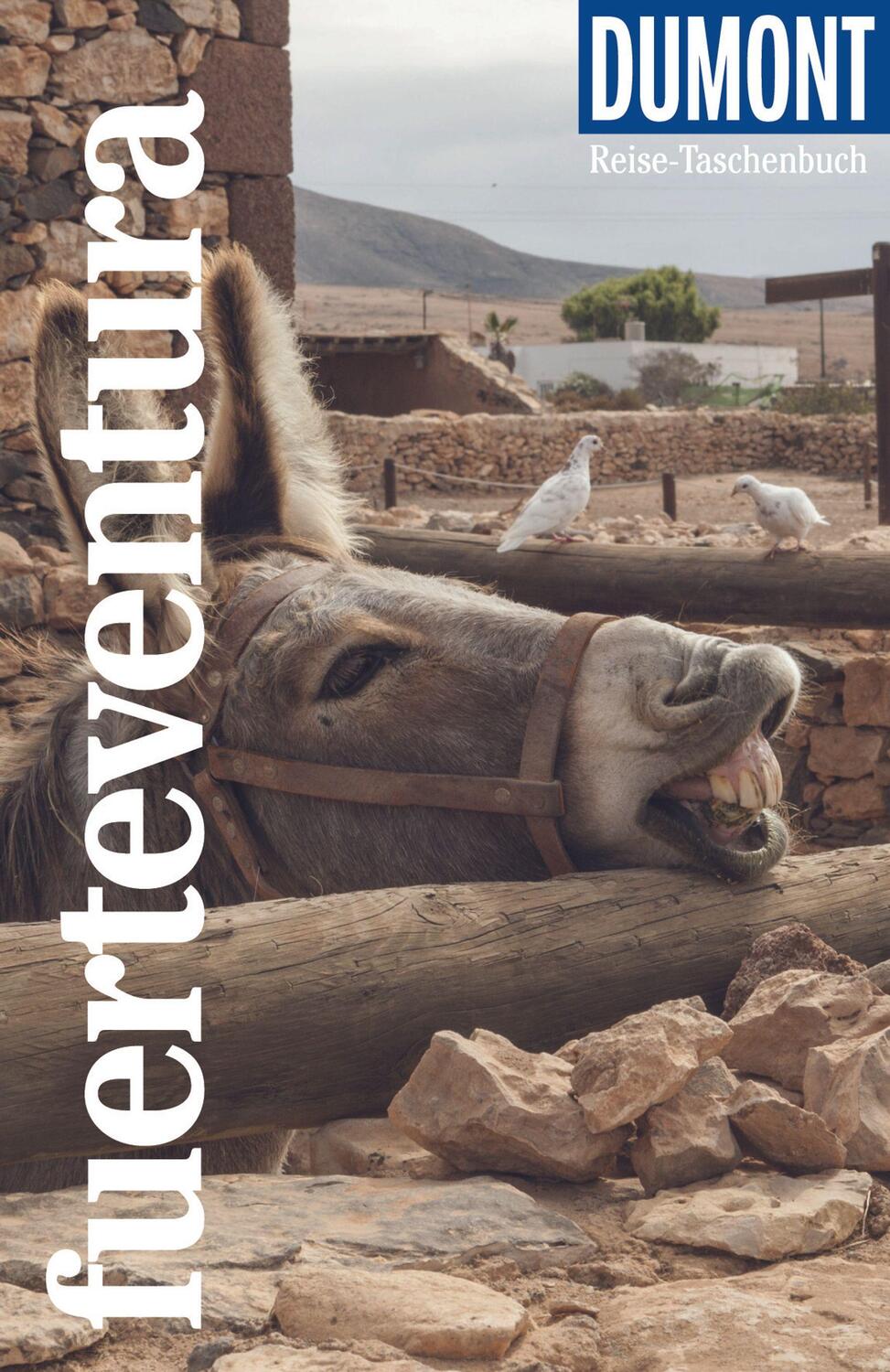 Cover: 9783616020310 | DuMont Reise-Taschenbuch Fuerteventura | Susanne Lipps | Taschenbuch