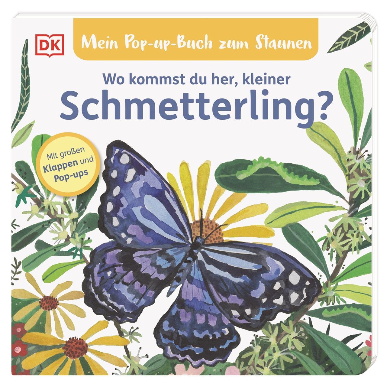 Cover: 9783831046621 | Mein Pop-up-Buch zum Staunen. Wo kommst du her, kleiner Schmetterling?