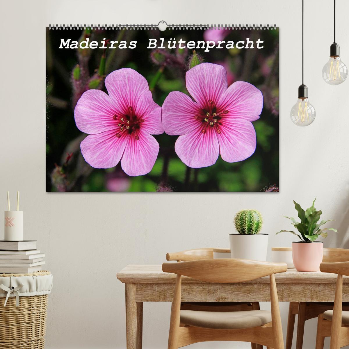 Bild: 9783435679553 | Madeiras Blütenpracht (Wandkalender 2025 DIN A2 quer), CALVENDO...