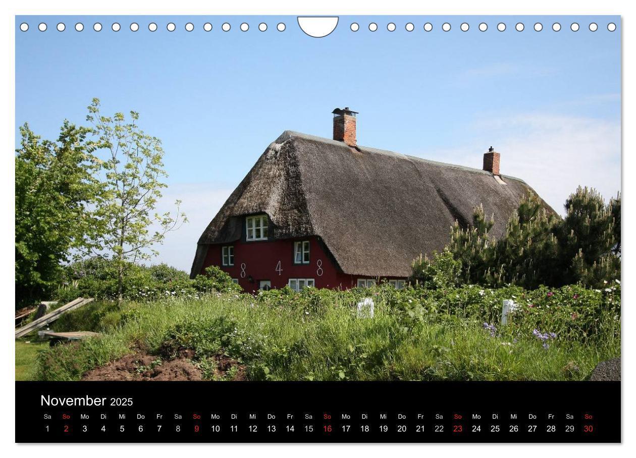 Bild: 9783435788378 | Die Insel Amrum (Wandkalender 2025 DIN A4 quer), CALVENDO...