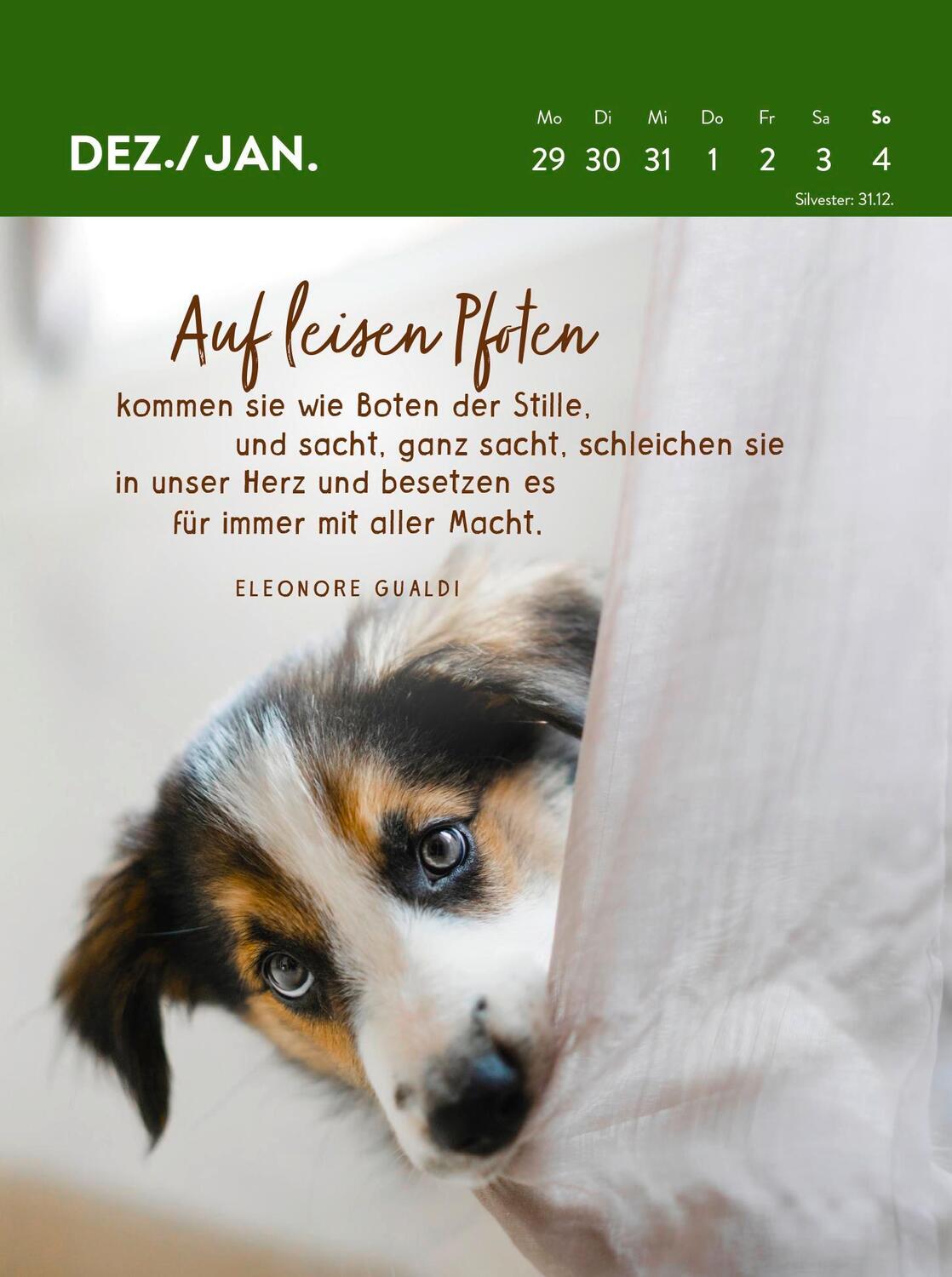 Bild: 4036442012123 | Wochenkalender 2025: Hunde sind die besten Freunde | Groh Verlag